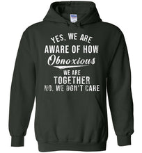 Load image into Gallery viewer, Yes we are aware of how obnoxious we are together no we dont care hoodie grey hoodie sweatshirt